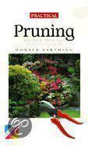 Practical Pruning