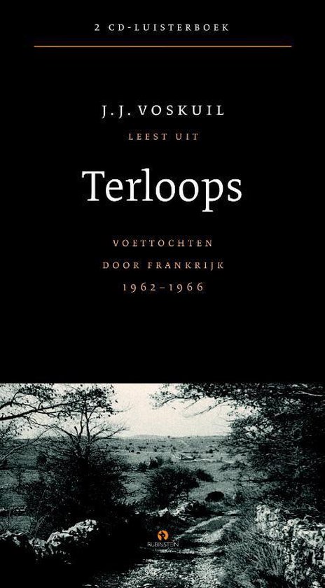 Cover van het boek 'Terloops' van J.J. Voskuil