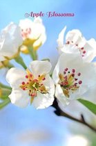 Apple Blossoms