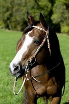 Hoofdstel met versiering van ruwe huid donkerbruin Pony