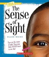 The Sense of Sight