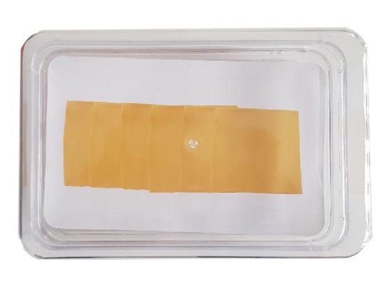 Koelkast vleeswaren opbergbak - Transparant - Kunststof - 21.5 x 14.5 x 10  cm - 2 laags | bol.com