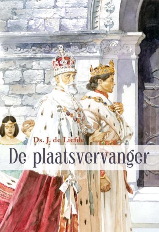 De plaatsvervanger - cover