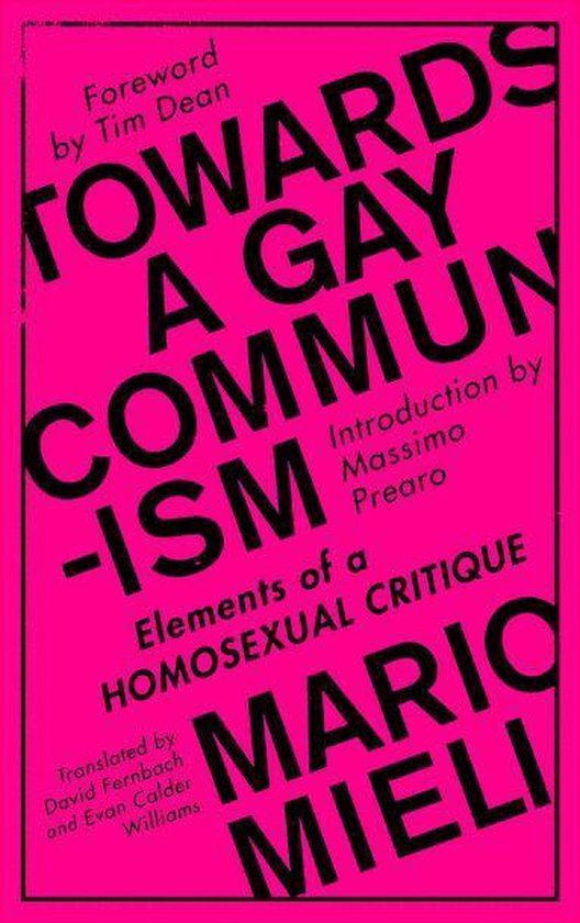 Towards a Gay Communism - cover