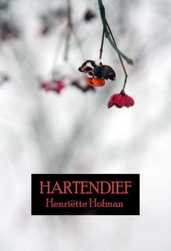 Cover van het boek 'Hartendief' van Henriëtte Hofman