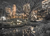 New York Central Park - Fotobehang - 315 x 232 cm - Multi