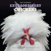 Extraordinary Chickens 2020 Wall Calendar