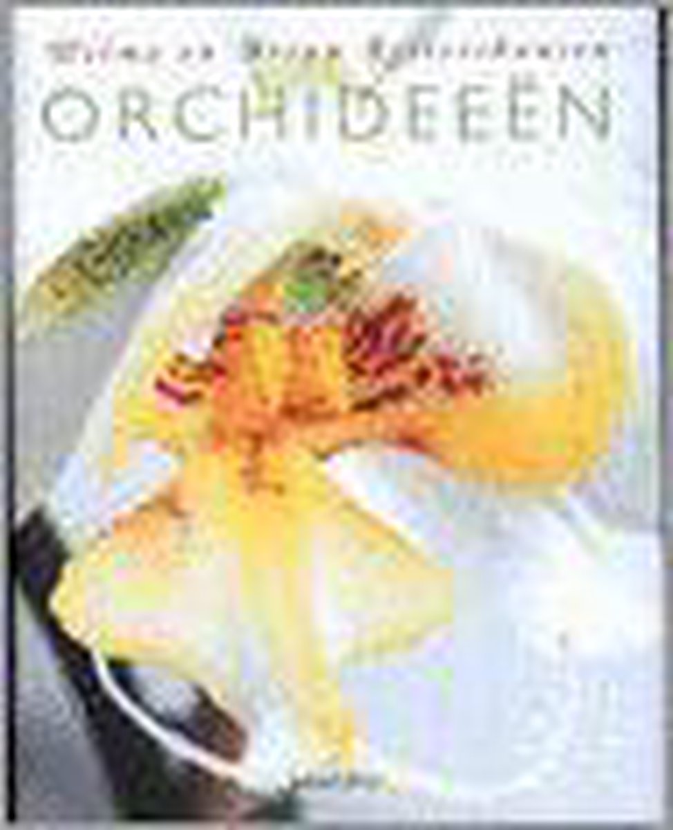 Orchideeen Een Praktische Gids