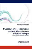 Investigation of Ferroelectric Domains with Scanning Probe Microscopy