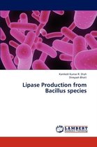Lipase Production from Bacillus species