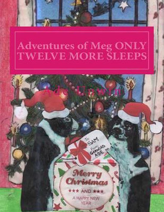 Adventures of Meg- Adventures of Meg ONLY TWELVE MORE SLEEPS
