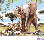 Schilderen op nummer Volwassenen "JobaStores®" Olifant & Giraf 40x50cm