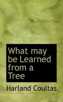 What May Be Learned from a Tree