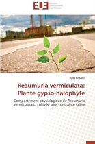 Omn.Univ.Europ.- Reaumuria Vermiculata: Plante Gypso-Halophyte