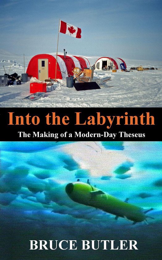 Into the Labyrinth - cover