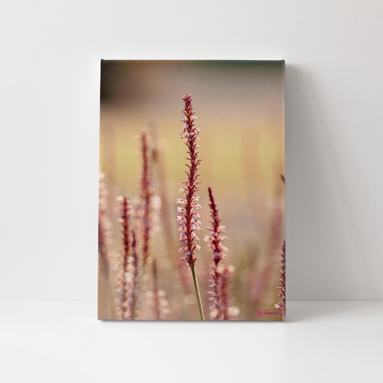 Rode Plant | Close-up | Planten | Stichting BY Amanda | Canvasdoek | Wanddecoratie | 60CM x 90CM | Schilderij