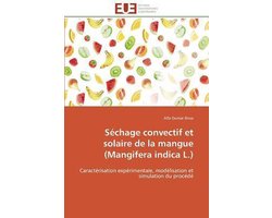 Séchage convectif et solaire de la mangue (Mangifera indica L.)
