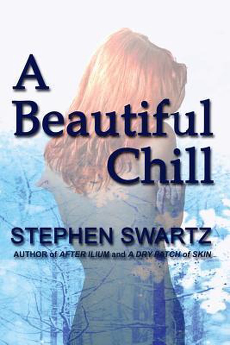 A Beautiful Chill - Stephen Swartz
