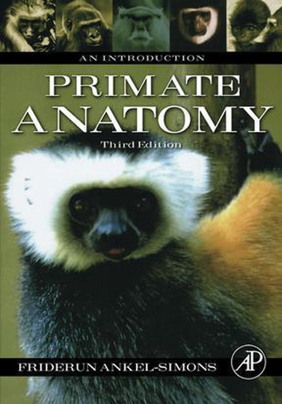 Primate Anatomy: An Introduction - cover