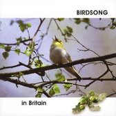 Birdsong in Britain