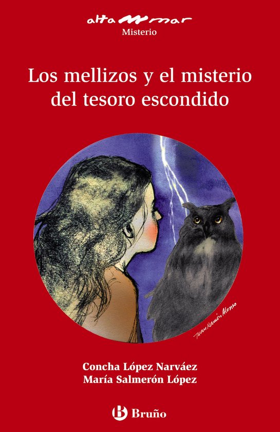 Castellano - A PARTIR DE 12 AÑOS - ALTAMAR - Los mellizos y el misterio del tesoro escondido (ebook)