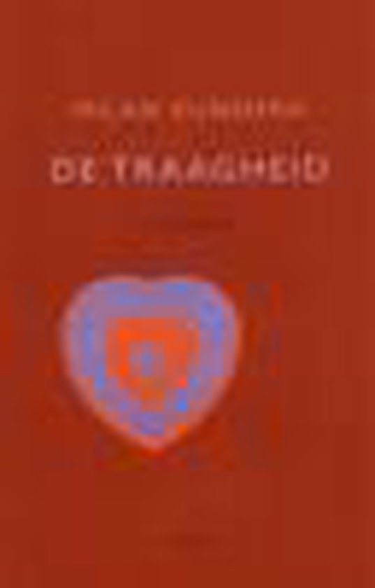 9789026313936 - Traagheid Pap