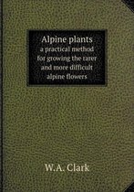Alpine plants a practical method for growing the rarer and more difficult alpine flowers