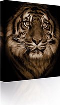 Canvas Sound Art tiger_s face - 23 x 28 cm