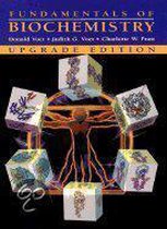 Fundamentals of Biochemistry Upgrade W/CD Version 2.0