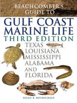 Beachcomber's Guide to Gulf Coast Marine Life