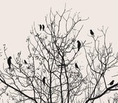Vogeltjes in Boom Fotobehang XXL - 368 x 254 cm - Zwart/Wit
