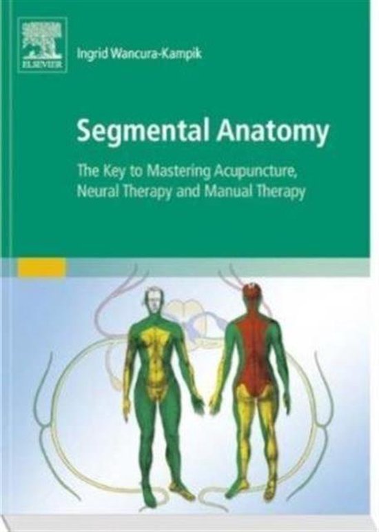 Segmental Anatomy - cover
