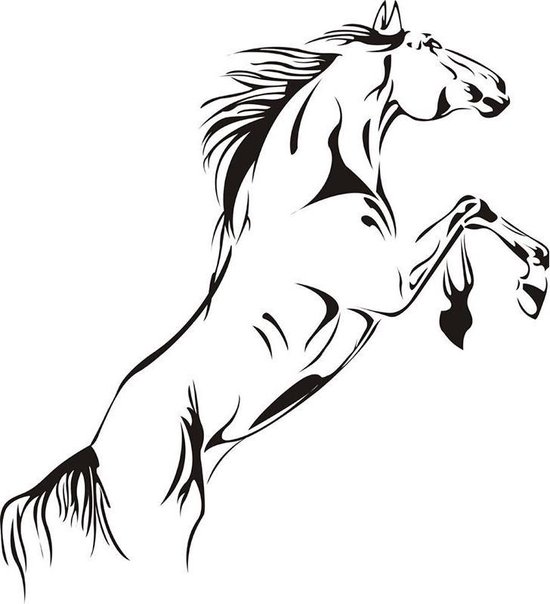 Muursticker springend paard. Paarden, dieren, pvc sticker, horse, jockey, paard, 58 x 75 cm, nr113