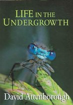 Life in the Undergrowth