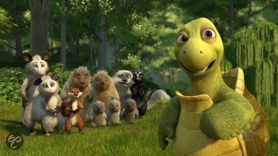 Beesten Bij De Buren Schildpad