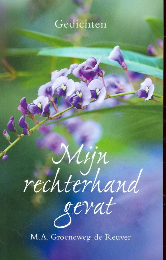 Mijn Rechterhand Gevat Groeneweg R M A Boeken Bol Com