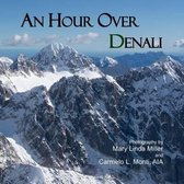 An Hour Over Denali