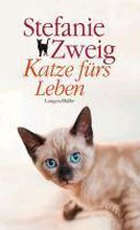 Katze fürs Leben