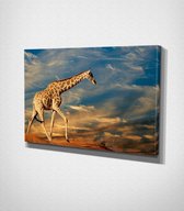 Giraffe Sky Background Canvas | 80x120 cm