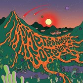 Metronomy - Metronomy Forever (CD)