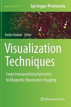 Visualization Techniques