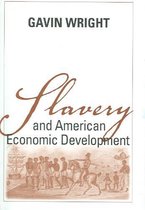Slavery and American Economic Development