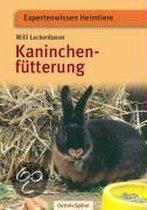 Kaninchenfütterung