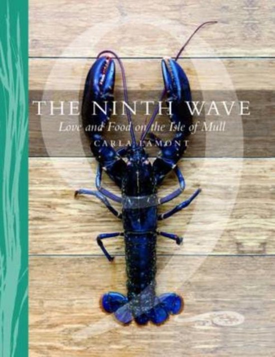 The Ninth Wave - cover