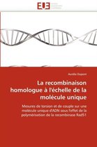 La recombinaison homologue à l'échelle de la molécule unique