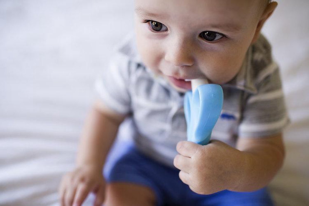 Brosse à dents / jouet de dentition pour Bébé Cornelius