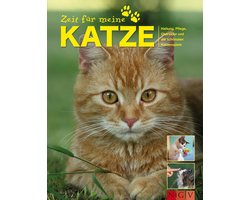 Zeit für meine Katze