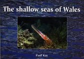 Shallow Seas of Wales, The