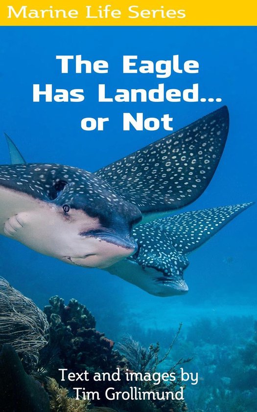 The Eagle Has Landed... or Not - cover