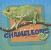 Get to Know Chameleons